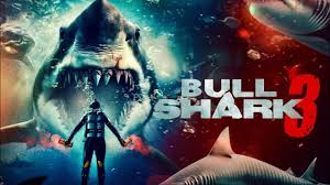 Bull Shark 3